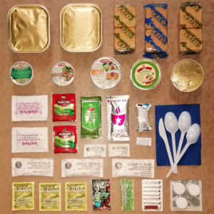  в Менделеево