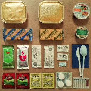  в Менделеево