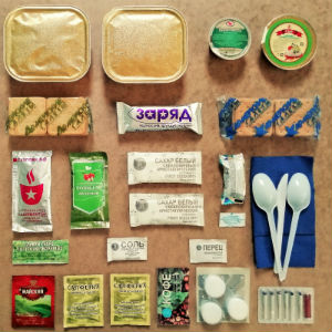  в Менделеево