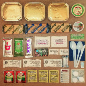  в Менделеево